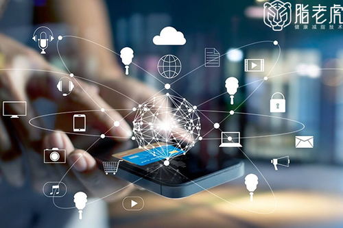 数字浪潮下的健康新篇章 世界互联网大会聚焦大健康数据发展