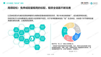 互联网数据资讯中心 199it的专业化数据服务与价值洞察